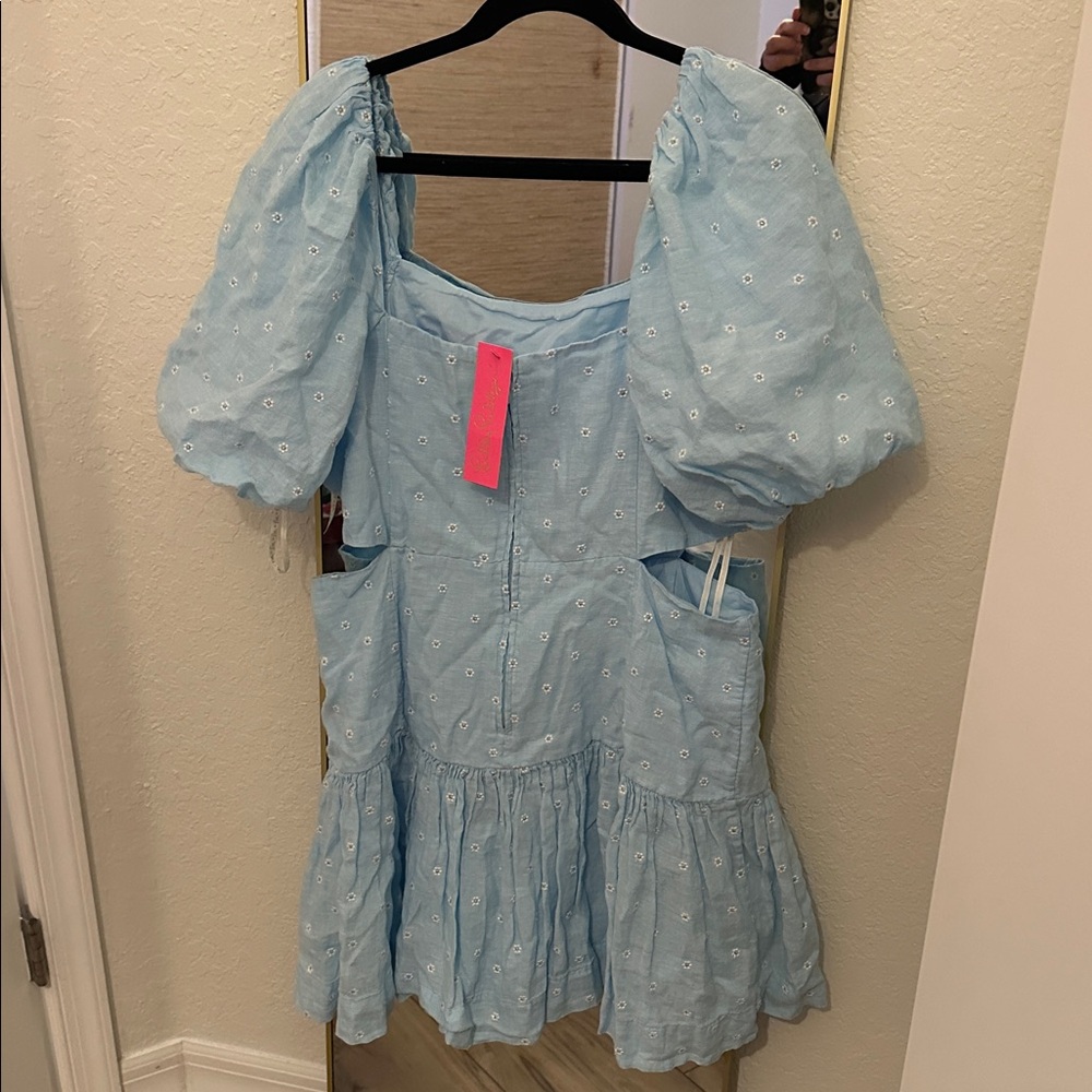 Lilly Pulitzer Sky Blue Embroidered Lennon dress size 16 brand new never worn! - Picture 3 of 3